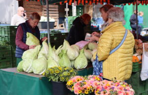 25. Kreisbauernmarkt in Groß-Gerau Jubiläum am Erntedank-Sonntag
