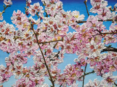 JKB Fletcher / Katharina Gierlach: Formations Ausstellungseröffnung: 28. September 2025, 15 – 18 Uhr