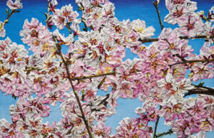 JKB Fletcher / Katharina Gierlach: Formations Ausstellungseröffnung: 28. September 2025, 15 – 18 Uhr