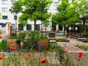 4. Platz für Schaugarten bei einem Fotowettbewerb