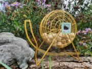 „Zusammen ist man weniger allein“ Einsamkeit >>> Veranstaltungsreihe der Naturschutzgruppe Bodenheim