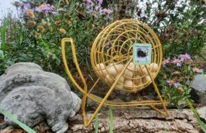 „Zusammen ist man weniger allein“ Einsamkeit >>> Veranstaltungsreihe der Naturschutzgruppe Bodenheim