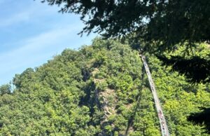 Gemeinsam mit Nervenkitzel und Weitblick Rad-Sport-Verein Gau-Algesheim auf Tour zur Geierlay-Brücke