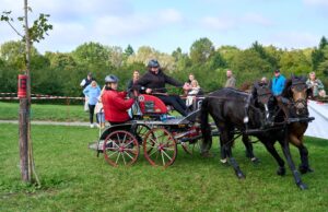 Zwei Tage voller Kutschenkunst und Gemeinschaft Pferdesport >>>Das Fahrturnier des Gonsenheimer RFV begeisterte das Publikum