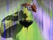 Persönliche Perspektiven auf eine Region Fotografinnen und Fotografen zeigen ihre Blicke auf Land, Leute und Landschaften