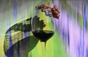 Persönliche Perspektiven auf eine Region Fotografinnen und Fotografen zeigen ihre Blicke auf Land, Leute und Landschaften