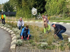 Lörzweiler blüht auf
