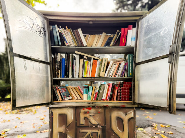 Mombach_Bücherschrank