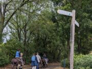 Mit Paco und Valentin durch den Roten Hang Familienwandertag >>>Der Kilians-Chor Nierstein unterwegs durch den Roten Hang bis Nackenheim