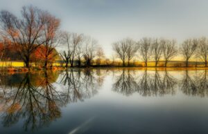 Umgestaltung des Altrheinufer-Bereichs in Ginsheim – Informationen vor Ort