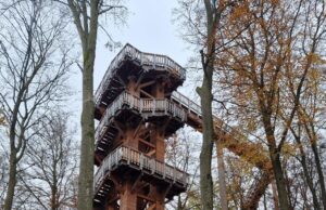 Freizeit-Plus-Wanderung der SKG Bauschheim „Rund um den Baumwipfelweg Bad Camberg“ und anschließendem Besuch des Baumwipfelwegs am 16.11.2025