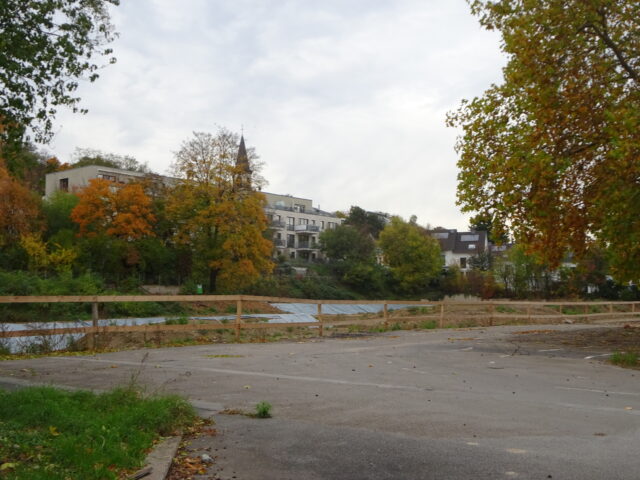 Laubenheim-Grundschule Oliver Gehrig