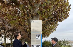 Als eine Holz-Stahl-Konstruktion die Altstadt mit Kastel verband Nachkriegsgeschichte >>>Neue Tafel erinnert an die General Patch-Brücke