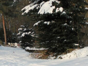 Wasserabschaltung zum Schutz der Brunnen