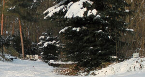 Wasserabschaltung zum Schutz der Brunnen