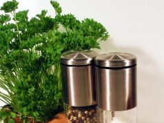 Einladung zum „Treff im Treff“