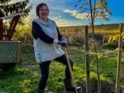 „50 Bäume für Bodenheim“