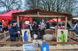 26 Stände sorgen für vorweihnachtliche Stimmung Weihnachtsmarkt >>>Vor dem Start müssen An der Brausch erst einmal 14 Autos abgeschleppt werden