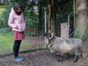 Telenotarzt stärkt Notfallversorgung in Rheinland-Pfalz