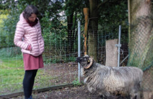 Telenotarzt stärkt Notfallversorgung in Rheinland-Pfalz Neuer Standort an der Universitätsmedizin Mainz soll den Rettungsdienst entlasten