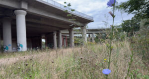 Zehn Jahre Sperrung?