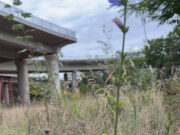 Starker Appell an das Land wegen Sperrung der Autobahnausgahrt