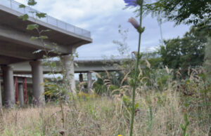 A 643: Landrat und Oberbürgermeister fordern Teilöffnung der Autobahnabfahrt Durchehende Vollsperrung in Mombach sei nicht mehr vermittelbar