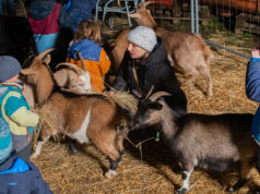 Hirtenfeuer als Teil von „Kultur um 8“