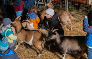 Hirtenfeuer als Teil von „Kultur um 8“ Wiederbelebung eines Begegnungsortes