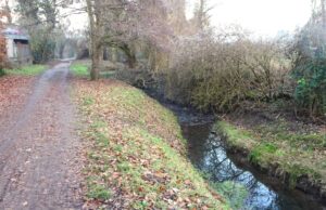 Ein sicherer Radweg entlang des Gonsbachs? Gemeinsamer CDU- und SPD-Antrag sorgte für Diskussionen im Ortsbeirat