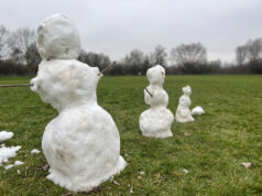Internationales Schutzgebiet Inselrhein im Blick