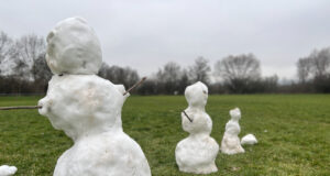 Internationales Schutzgebiet Inselrhein im Blick