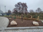 Neue Klimabäume für ein zukunftsfähiges Straßenbild 19 Bäume und vielfältige Bepflanzung an der Lise-Meitner-Straße