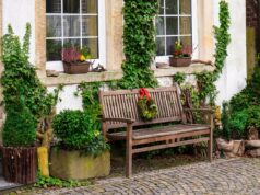 Mehr Grün zu Hause: Förderprogramm zur Haus- und Hofbegrünung in Kostheim-Mitte