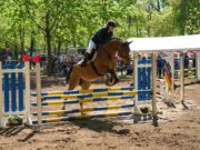 Feierliche Eröffnung der grünen Saison