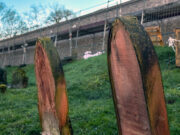 HaMü will würdigen Weg zum UNESCO-Welterbe