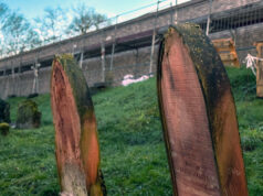 HaMü will würdigen Weg zum UNESCO-Welterbe