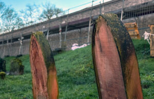 HaMü will würdigen Weg zum UNESCO-Welterbe Gemeinsamer Antrag zur Verbesserungen des Prestige-Projekts