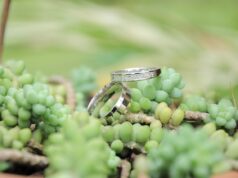 Einfach vorbeikommen und heiraten