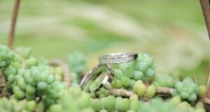 Einfach vorbeikommen und heiraten