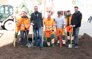 Stadt pflanzt neue Ulme am Gemeindeplatz und fördert heimische Biodiversität