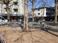 Bessere Bedingungen für Stadtbäume auf dem Europaplatz