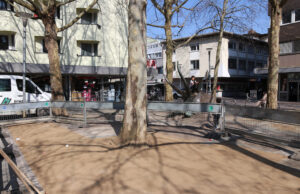 Bessere Bedingungen für Stadtbäume auf dem Europaplatz