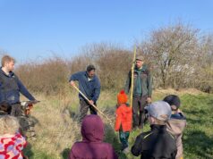 Kita Selzlinge pflanzt Kopfweide für Natur und Schatten
