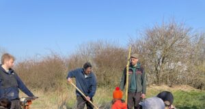 Kita Selzlinge pflanzt Kopfweide für Natur und Schatten