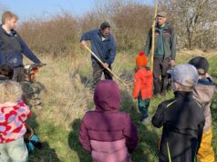 Kita Selzlinge pflanzt Kopfweide für Natur und Schatten