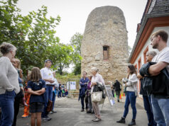 Frühling auf der Zitadelle erleben