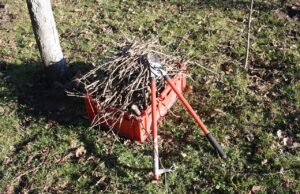 Grünmüllabfuhr im Stadtgebiet