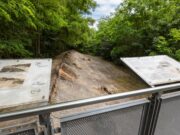 Stadt erreicht Vereinbarung für Pflege und Erhalt der Opel-Rennbahn