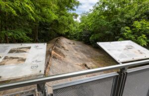 Stadt erreicht Vereinbarung für Pflege und Erhalt der Opel-Rennbahn